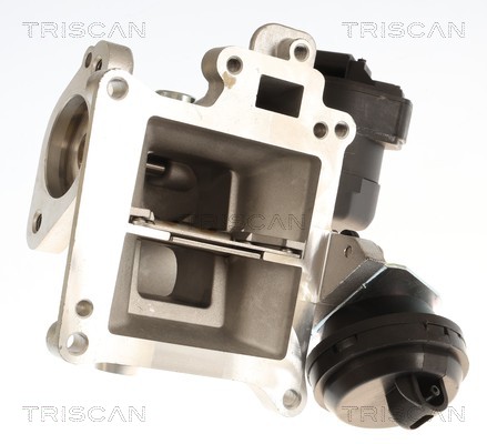 Vanne EGR Triscan A/S 8813 27106