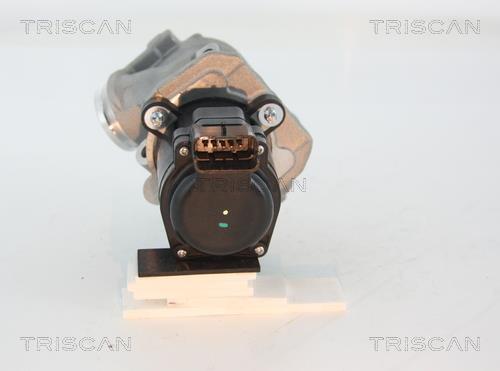 Válvula EGR Triscan A/S ref. 8813 28003