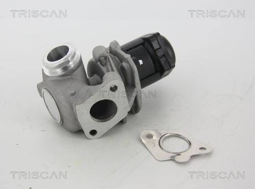 Válvula EGR Triscan A/S ref. 8813 28003