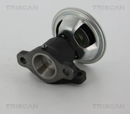 Vanne EGR Triscan A/S 8813 28011