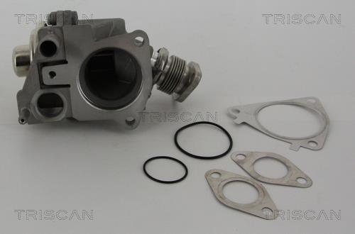 Vanne EGR Triscan A/S 8813 28019