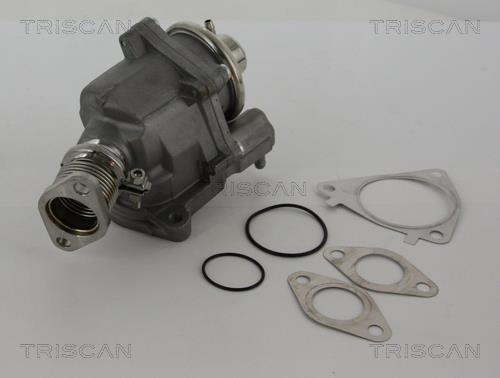 Vanne EGR Triscan A/S 8813 28019