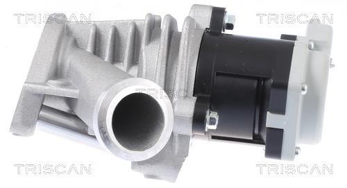 Vanne EGR Triscan A/S 8813 28028