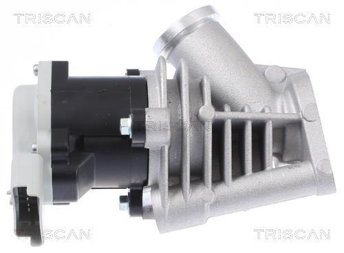 Vanne EGR Triscan A/S 8813 28028