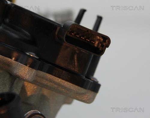 Vanne EGR Triscan A/S 8813 28044