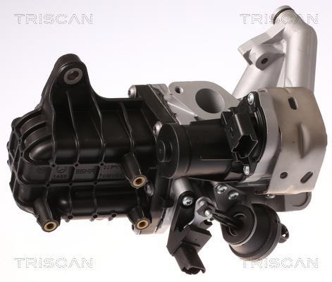 Válvula EGR Triscan A/S ref. 8813 28046