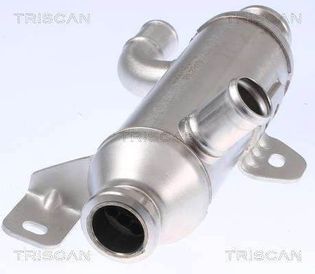 Radiateur, réaspiration des gaz d'échappement Triscan A/S 8813 28101