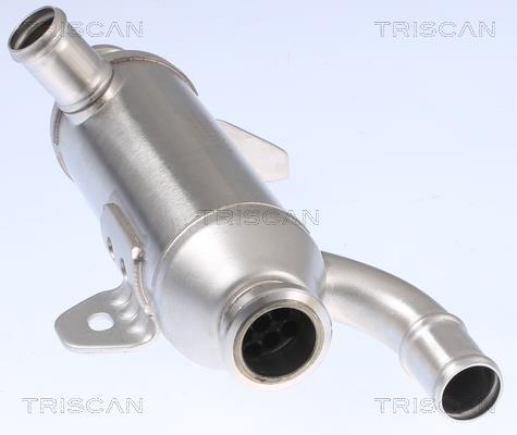 Radiateur, réaspiration des gaz d'échappement Triscan A/S 8813 28101