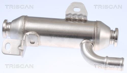 Radiateur, réaspiration des gaz d'échappement Triscan A/S 8813 28101
