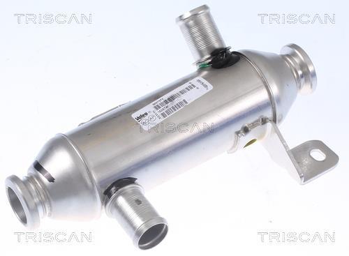 Radiateur, réaspiration des gaz d'échappement Triscan A/S 8813 28102