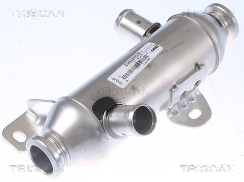Radiateur, réaspiration des gaz d'échappement Triscan A/S 8813 28102