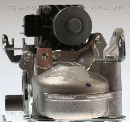 Vanne EGR Triscan A/S 8813 28108