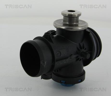 Vanne EGR Triscan A/S 8813 28200
