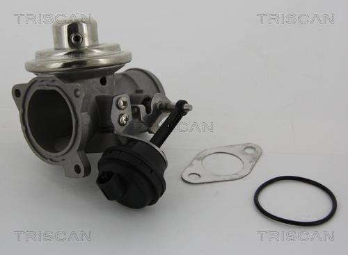 Vanne EGR Triscan A/S 8813 29001