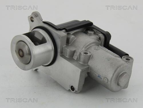 Válvula EGR Triscan A/S ref. 8813 29002