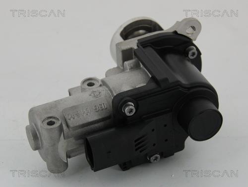 Válvula EGR Triscan A/S ref. 8813 29002