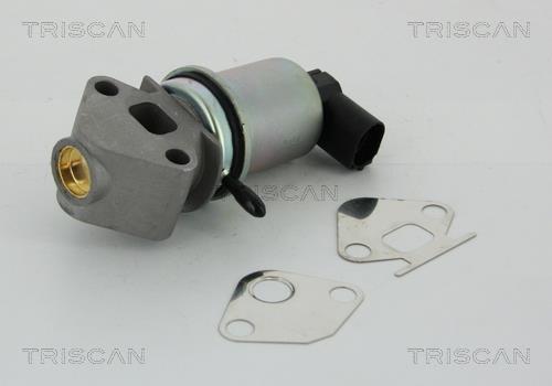 Válvula EGR Triscan A/S ref. 8813 29004