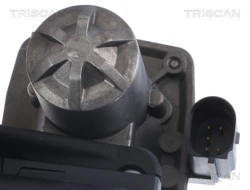 Vanne EGR Triscan A/S 8813 29005