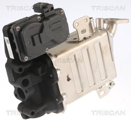 Vanne EGR Triscan A/S 8813 29005