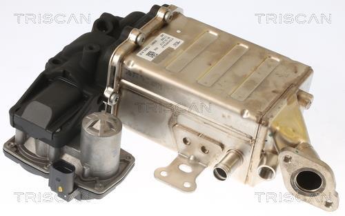 Vanne EGR Triscan A/S 8813 29006