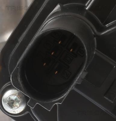 Vanne EGR Triscan A/S 8813 29008