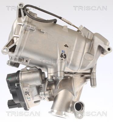 Vanne EGR Triscan A/S 8813 29008