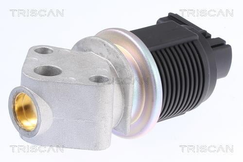 Vanne EGR Triscan A/S ref. 8813 29009