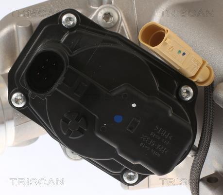 Vanne EGR Triscan A/S 8813 29013