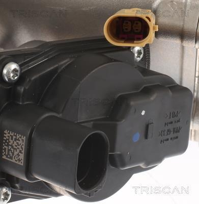Vanne EGR Triscan A/S 8813 29013
