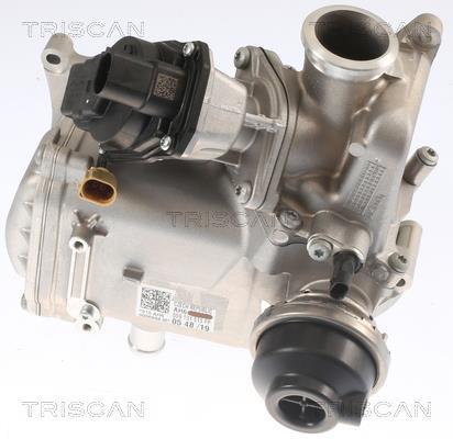 Vanne EGR Triscan A/S 8813 29013