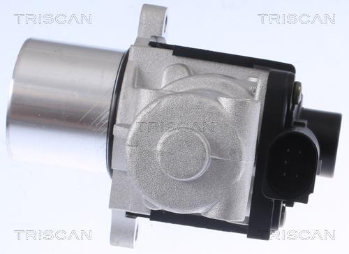 Vanne EGR Triscan A/S 8813 29015