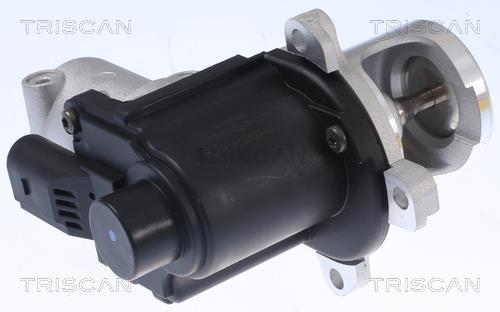 Vanne EGR Triscan A/S 8813 29015