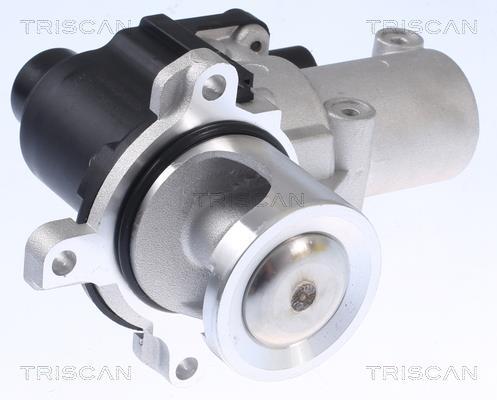 Vanne EGR Triscan A/S 8813 29015