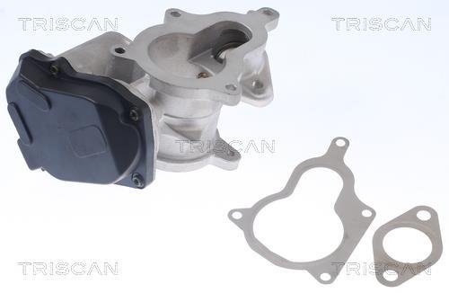 Vanne EGR Triscan A/S 8813 29019
