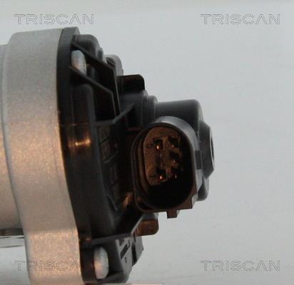 Válvula EGR Triscan A/S 8813 29028