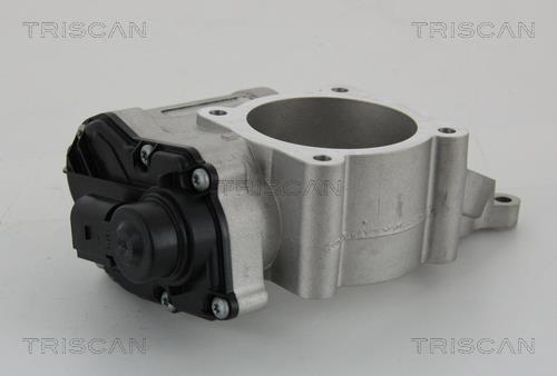 Válvula EGR Triscan A/S 8813 29028