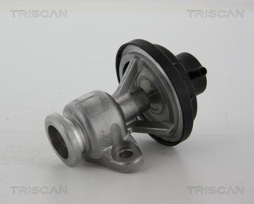 Vanne EGR Triscan A/S 8813 29034