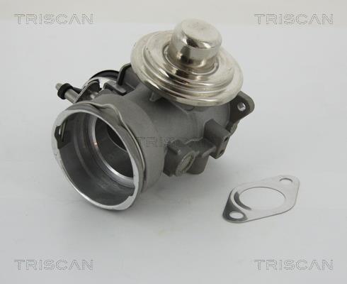 Vanne EGR Triscan A/S 8813 29040