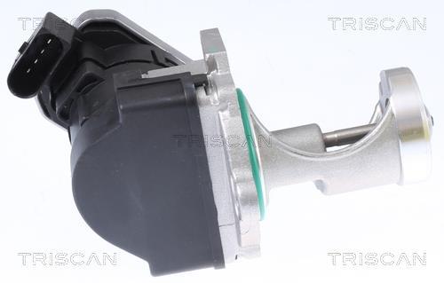 Vanne EGR Triscan A/S 8813 29043
