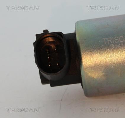 Vanne EGR Triscan A/S 8813 29044