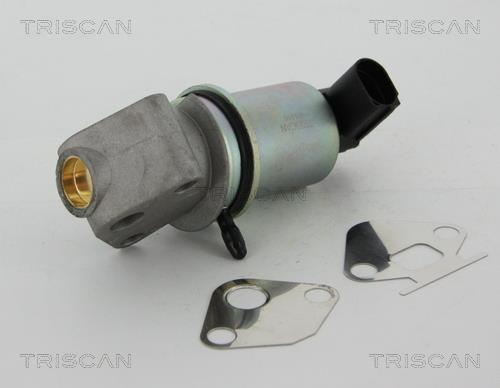 Vanne EGR Triscan A/S 8813 29044
