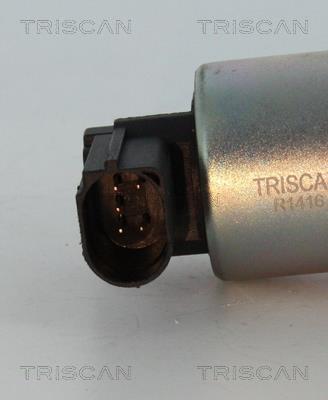 Vanne EGR Triscan A/S 8813 29045