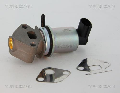 Vanne EGR Triscan A/S 8813 29045