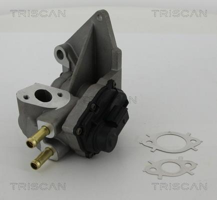 Vanne EGR Triscan A/S 8813 29047