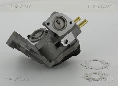 Vanne EGR Triscan A/S 8813 29047