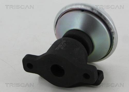 Vanne EGR Triscan A/S ref. 8813 29053