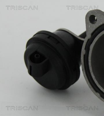 Vanne EGR Triscan A/S 8813 29057