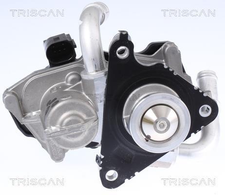 Vanne EGR Triscan A/S ref. 8813 29058