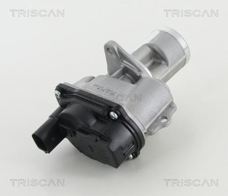 Válvula EGR Triscan A/S ref. 8813 29065