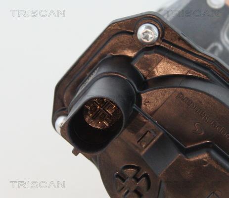 Válvula EGR Triscan A/S ref. 8813 29065